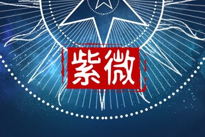 在线排盘看什么